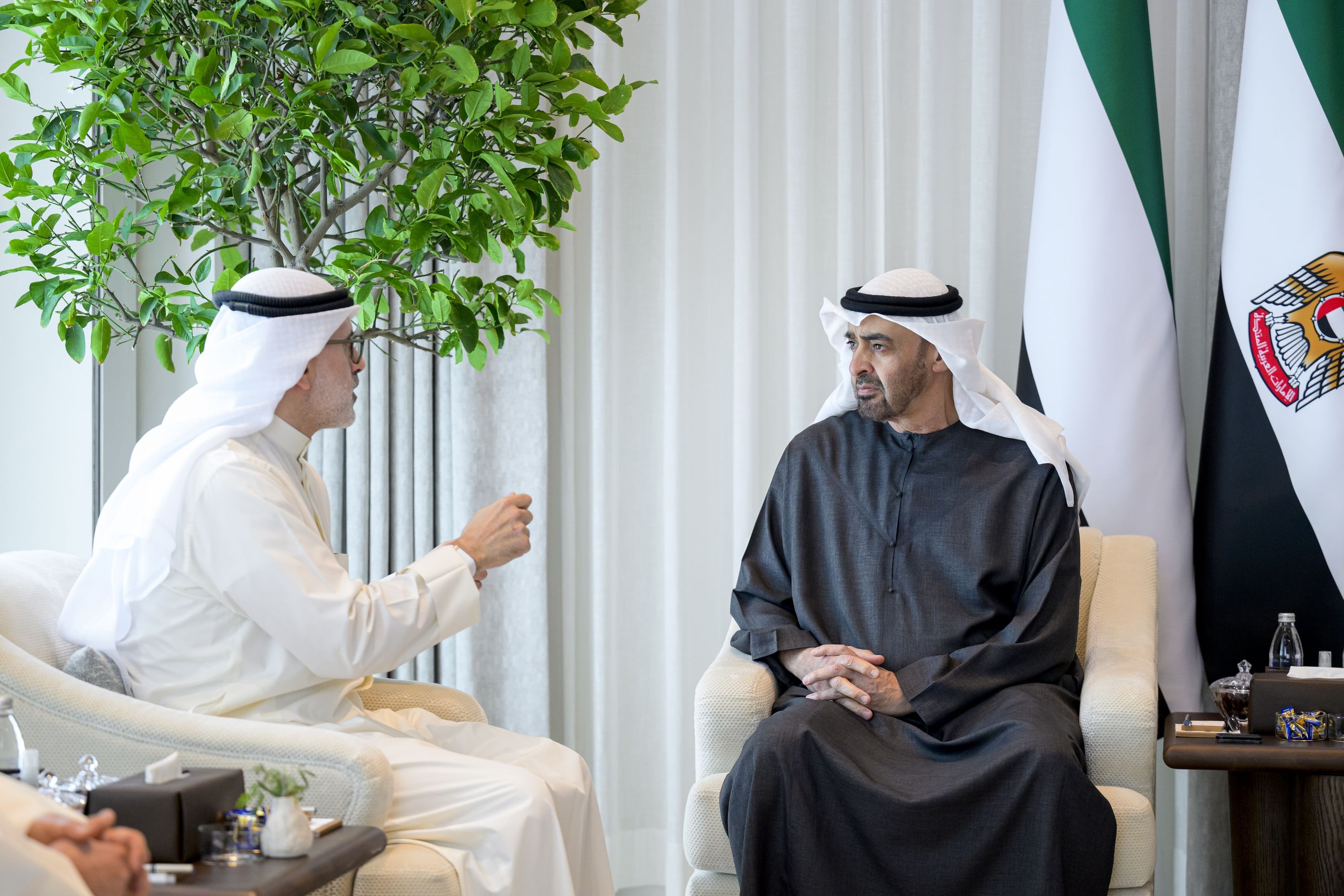 UAE President receives Kuwaiti Minister of Foreign Affairs