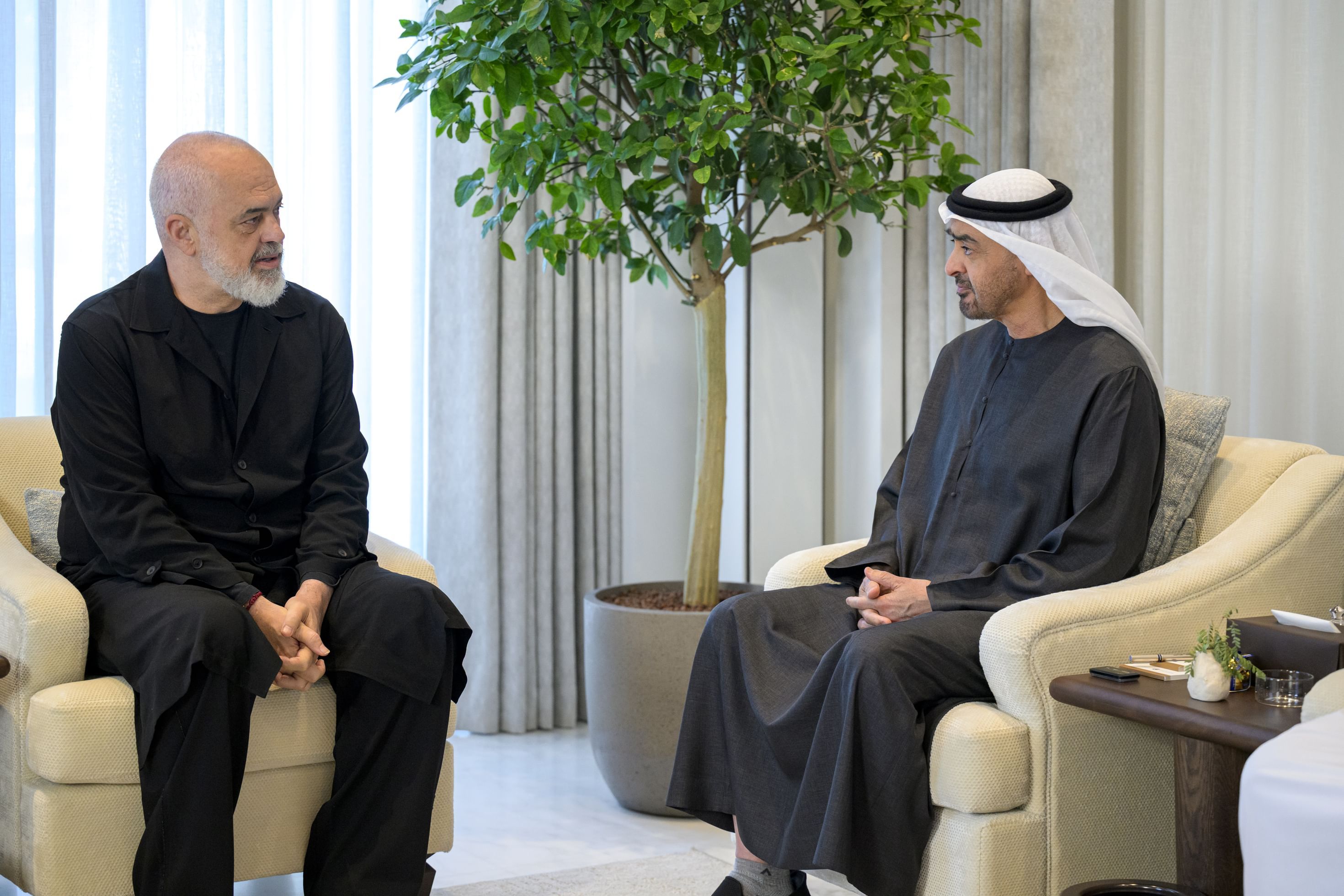 رئيس الدولة يستقبل رئيس وزراء ألبانيا