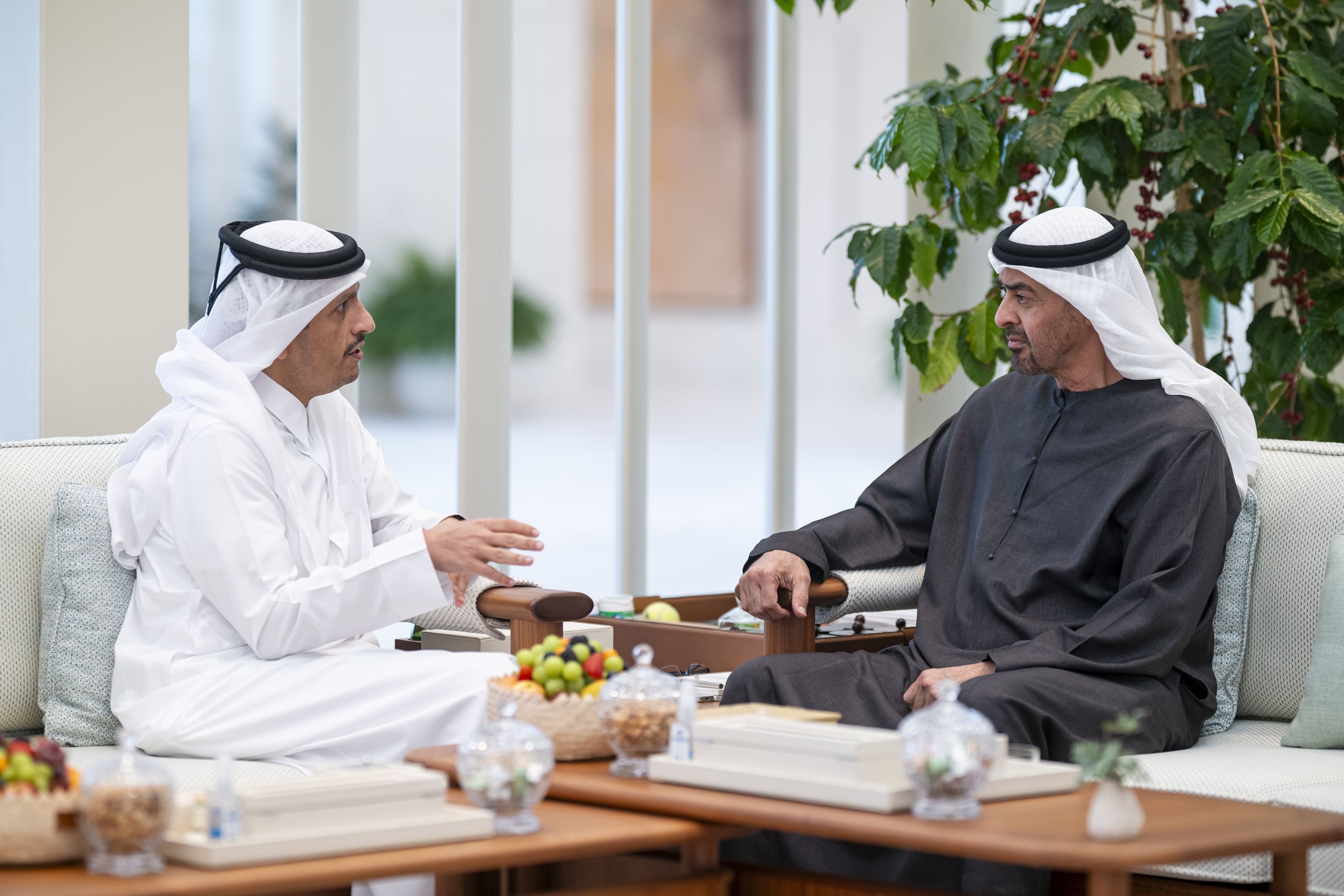 UAE President receives Qatari Prime Minister and Minister of Foreign Affairs
