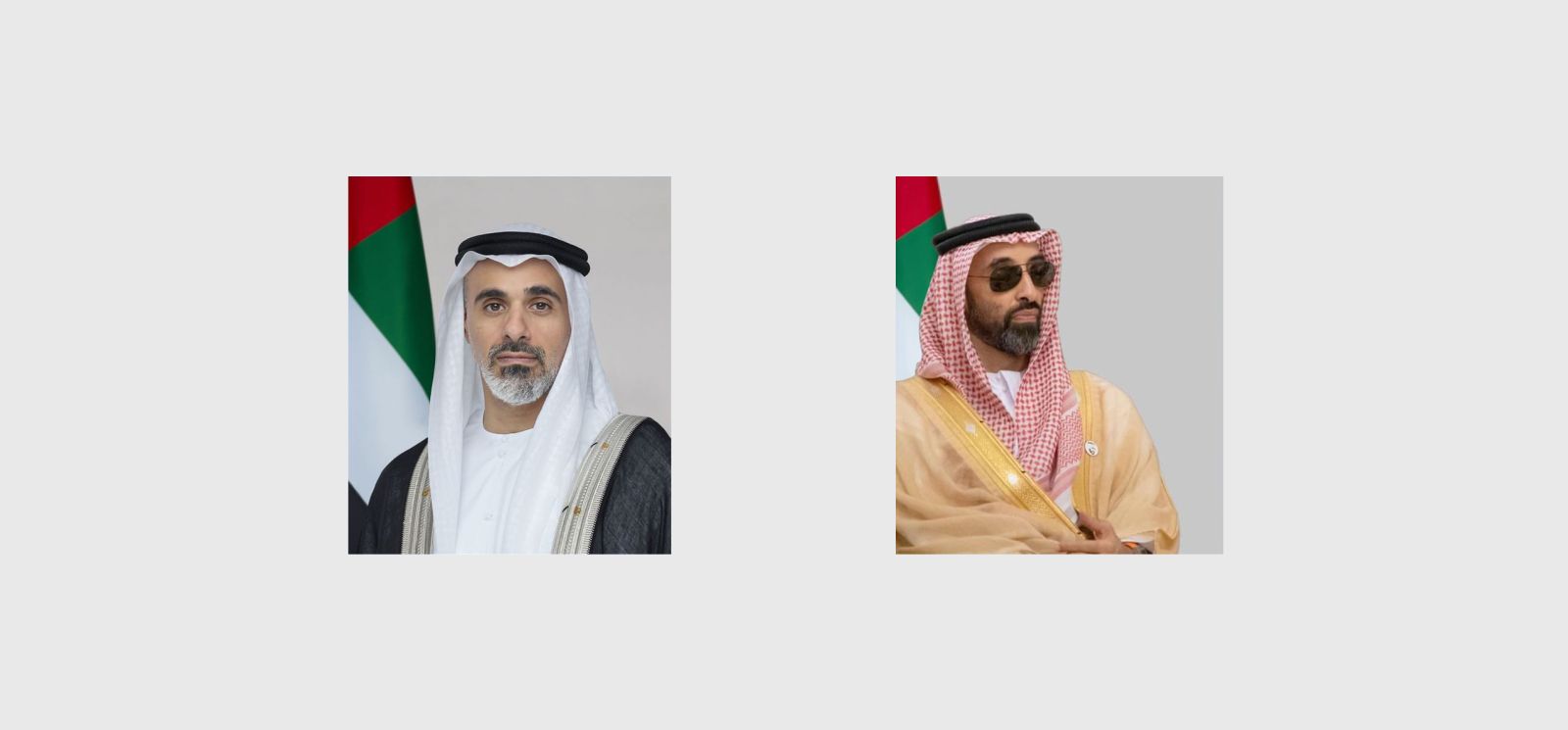 tahnoon bn zayed.jpg