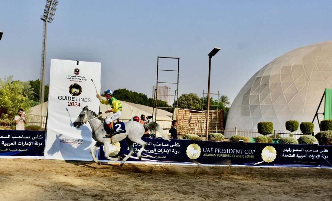 مضمار الجزيرة بالقاهرة يستضيف المحطة الـ 15 من كأس رئيس الدولة للخيول العربية الأصيلة
