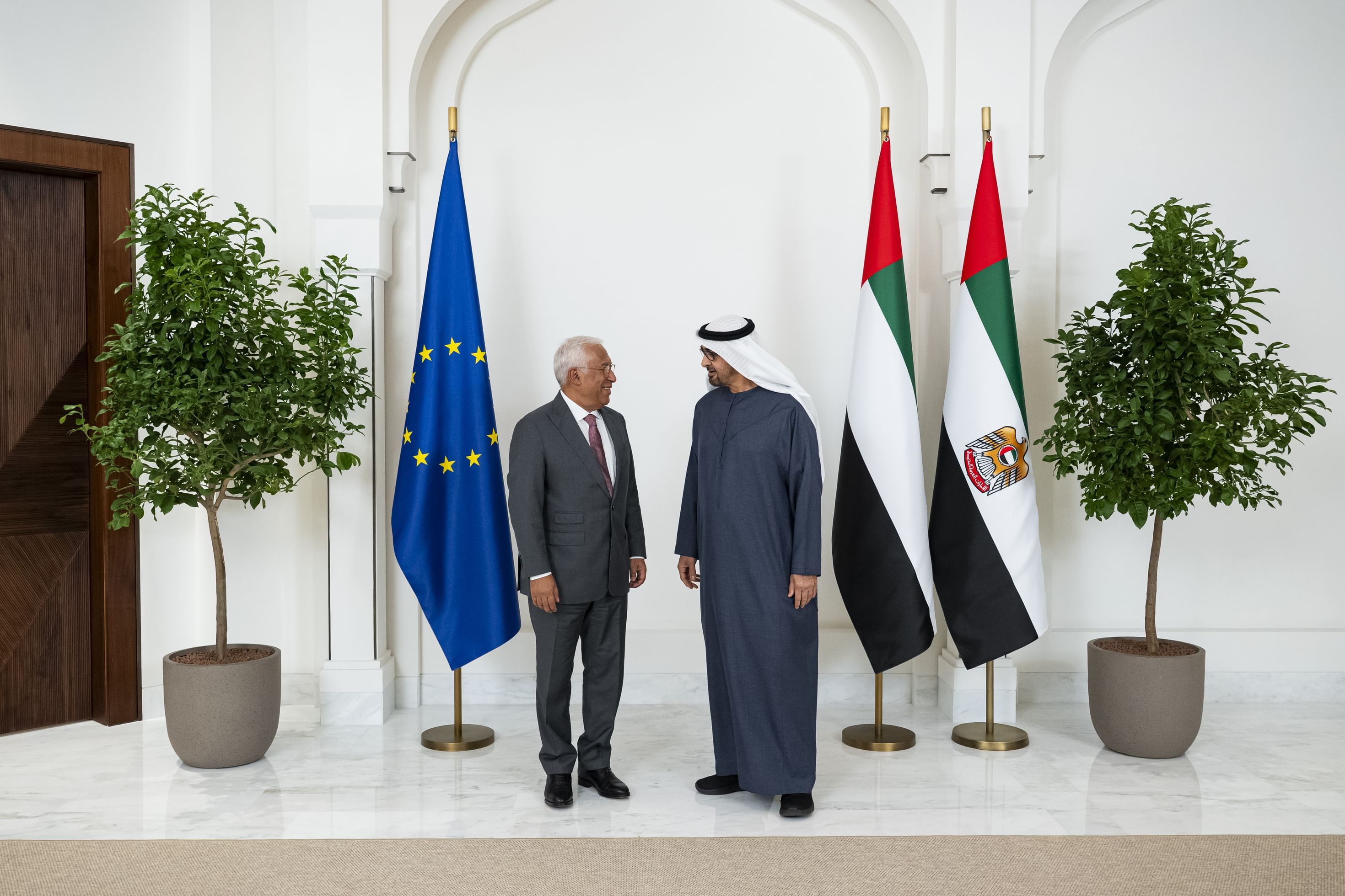 UAE President, European Council President discuss UAE–EU cooperation, regional developments