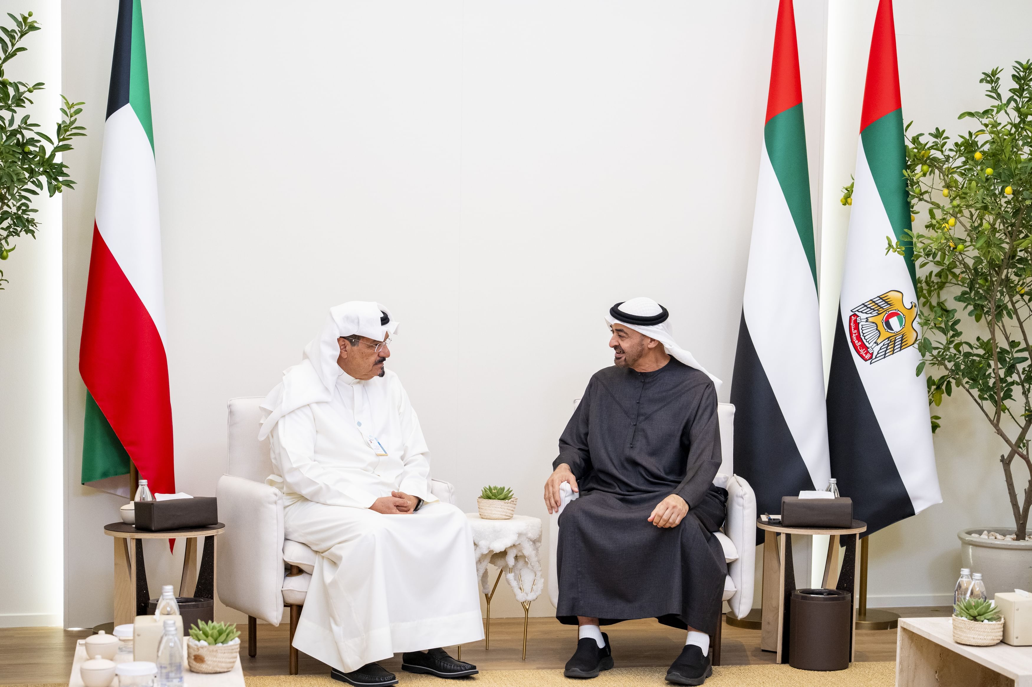 UAE President meets Kuwaiti Prime Minister during World Governments Summit 2026 visit